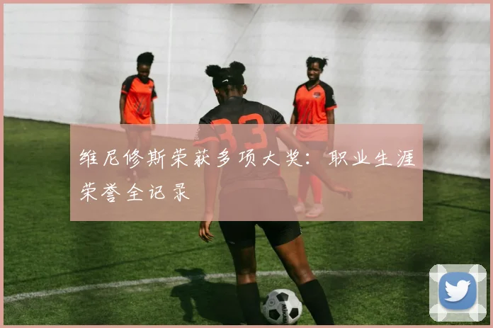 维尼修斯荣获多项大奖：职业生涯荣誉全记录