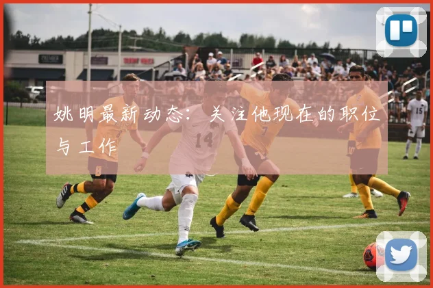 姚明最新动态：关注他现在的职位与工作