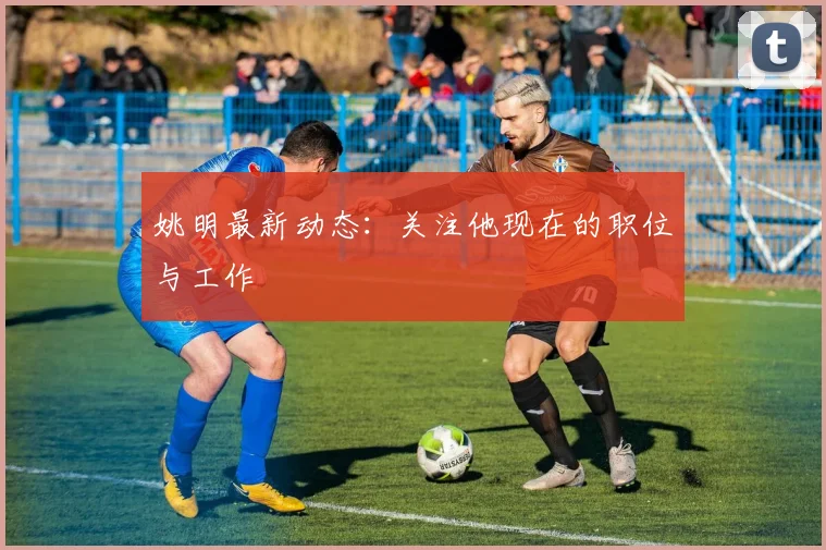 姚明最新动态：关注他现在的职位与工作