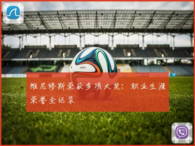 维尼修斯荣获多项大奖：职业生涯荣誉全记录